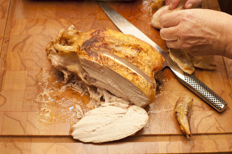 turkey breast dog food