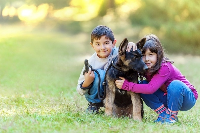 twins-holding-their-pet-German-shepherd-puppy_Adrian-Vaju-Photogaphy_shutterstock