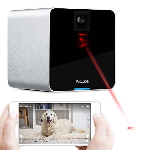 using Petcube Play 2 Play Wi-Fi Pet Camera