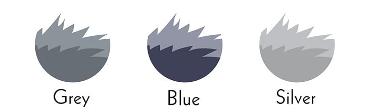 weimarner coat colors