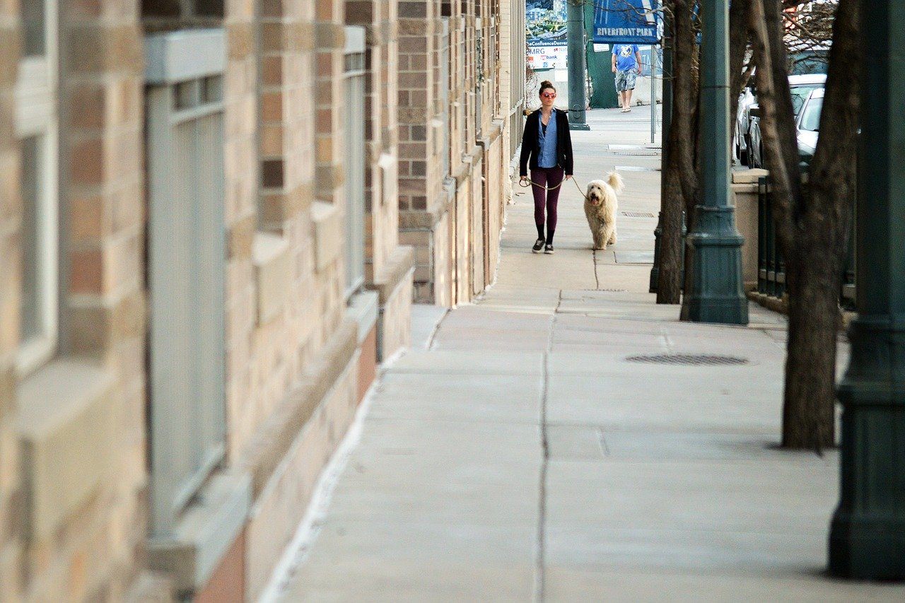 woman and dog walking