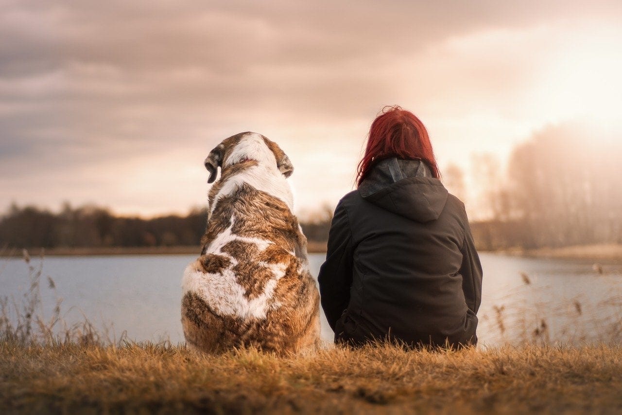woman and dog by the lake