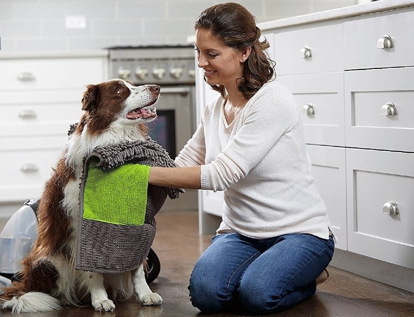 woman drying her wet dog with a towel