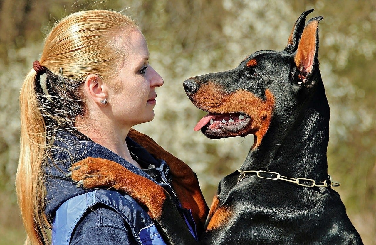 woman looking at her doberman