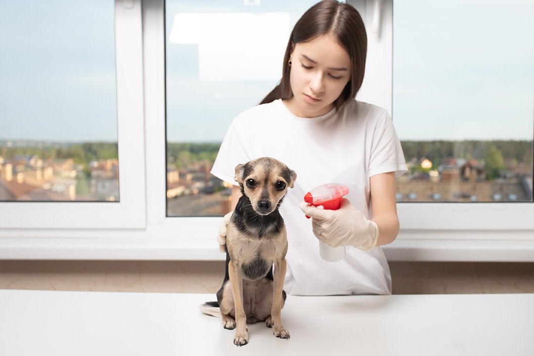 woman spraying on dog