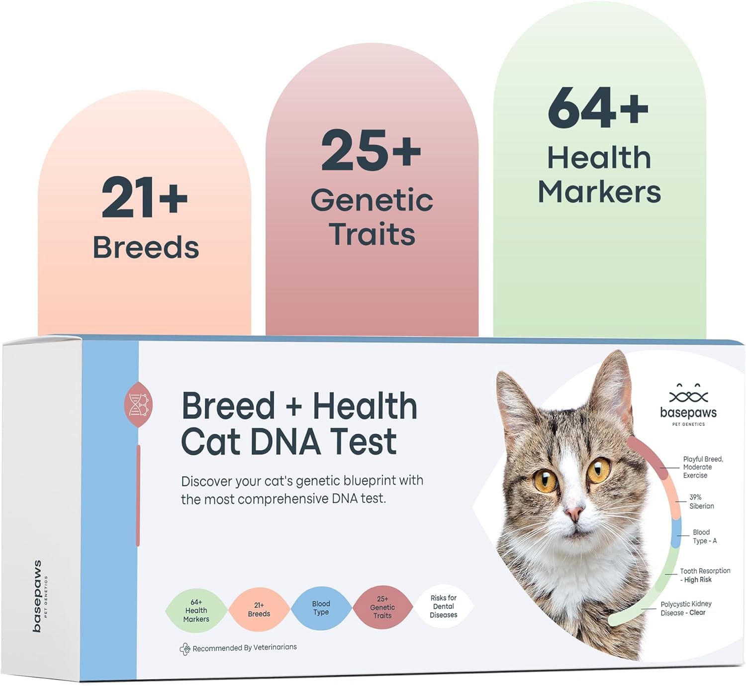 Basepaws Breed + Health DNA Test for Cats