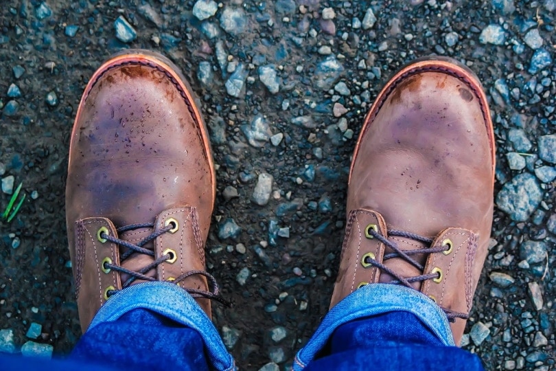Wet brown boots on man's feet