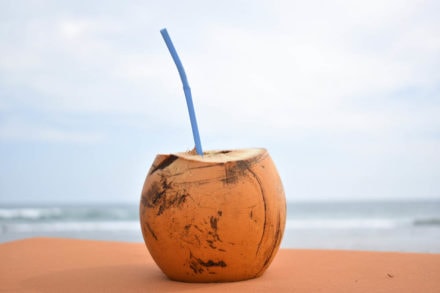 Can Cats Eat Coconut? Vet-Reviewed Nutrition Facts & FAQ Hepper Pet