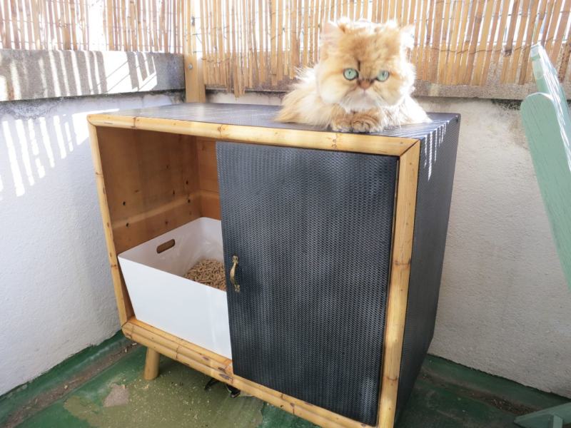 DIY Cabinet Litter Box