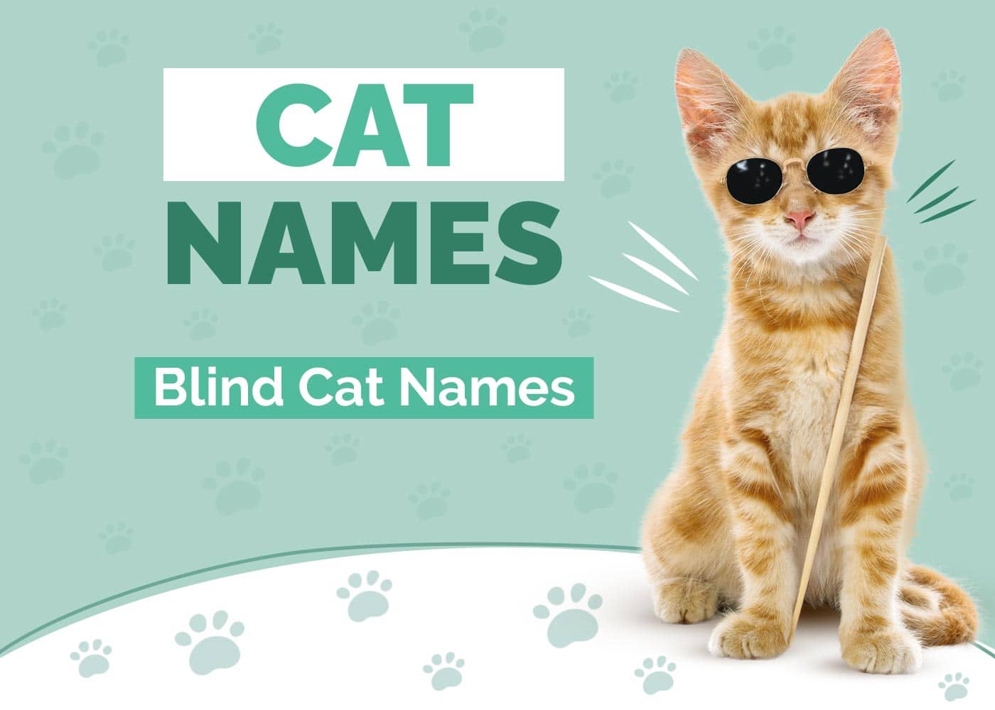 Blind Cat Names