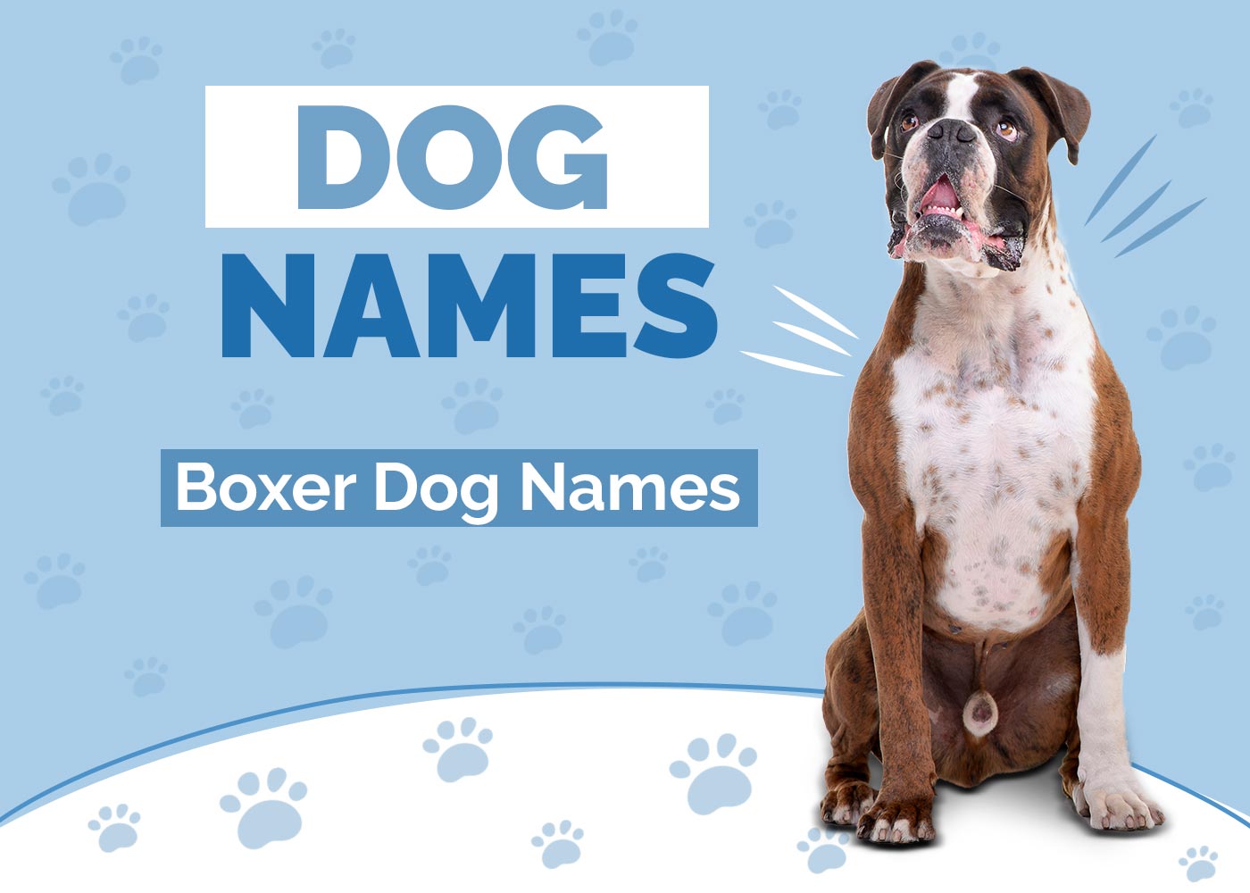 100 Boxer Dog Names Ideas For Fearless Smart Dogs Hepper Pet 100 Boxer Dog Names Ideas For Fearless Smart Dogs Hepper Pet
