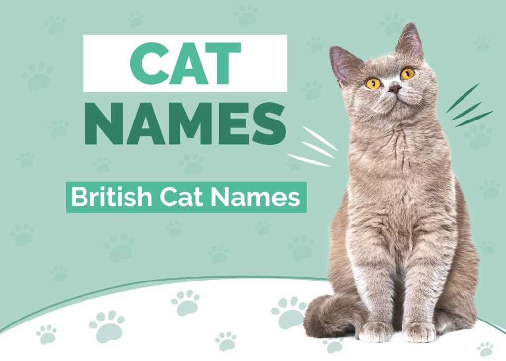 British Cat Names