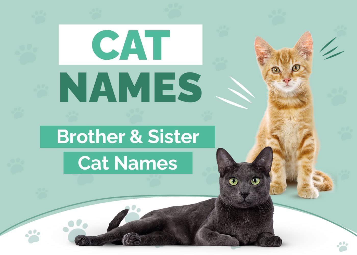 Brother & Sister Cat Names for Sibling Cats