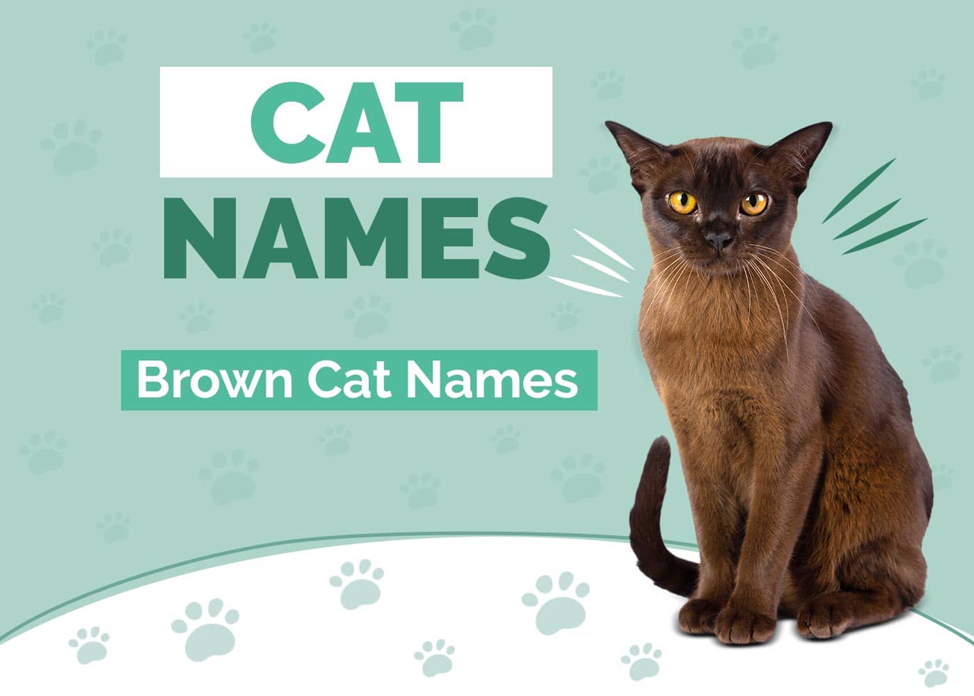Brown Cat Names