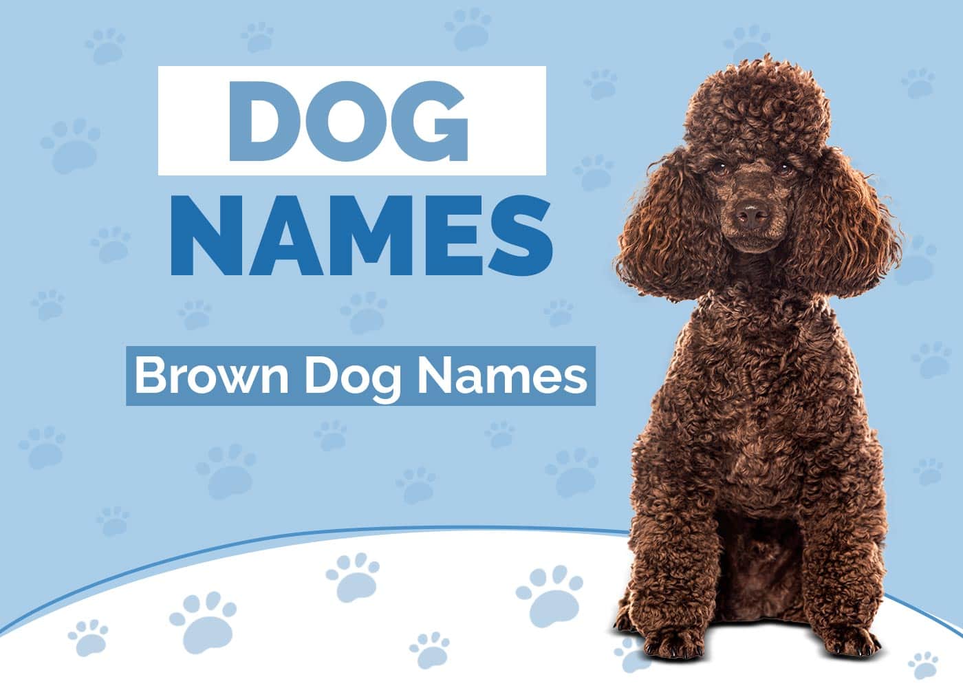 Brown Dog Names