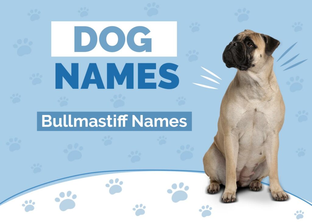 Bullmastiff Names