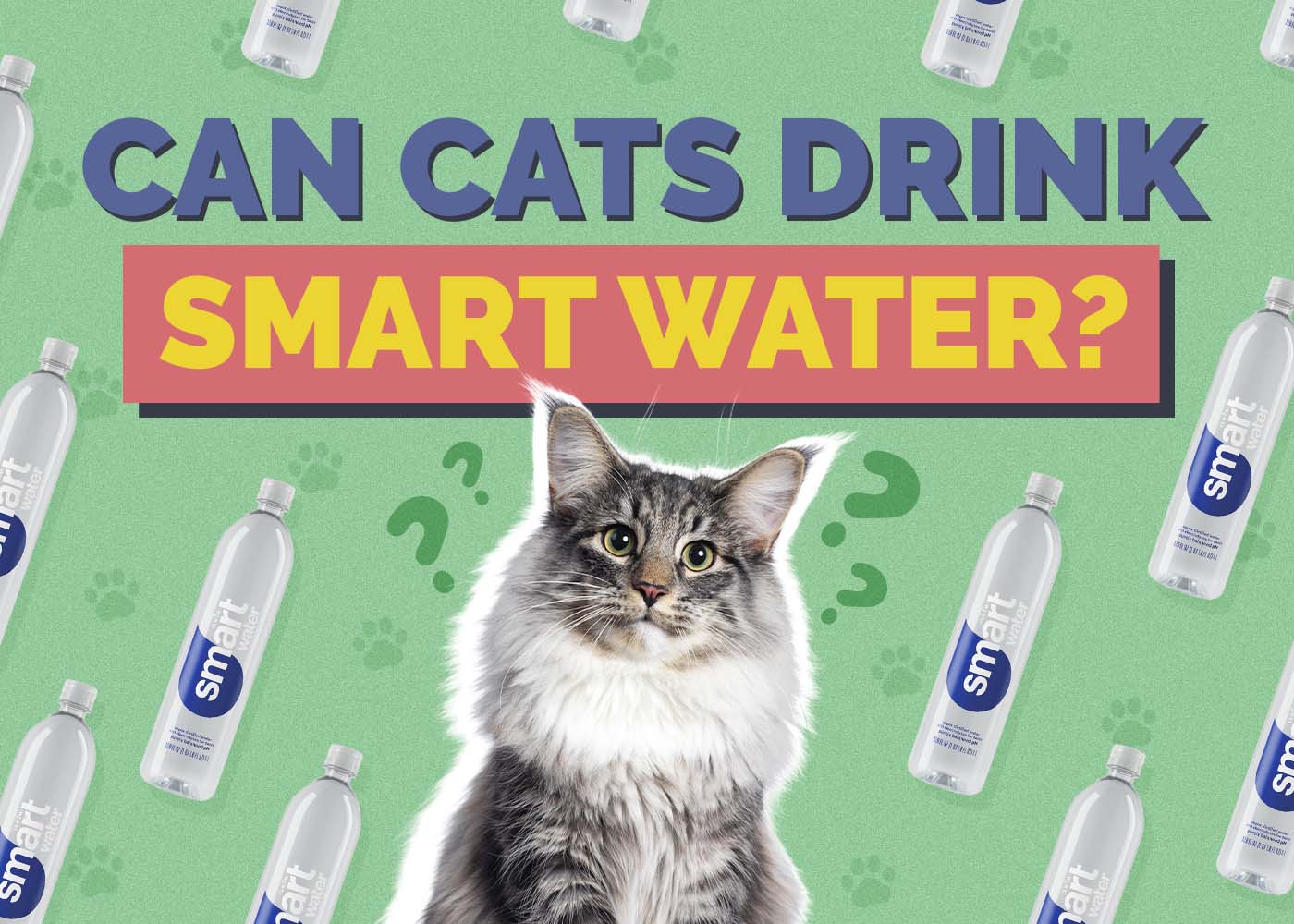 Hepper_Can Cats Drink_Smart Water