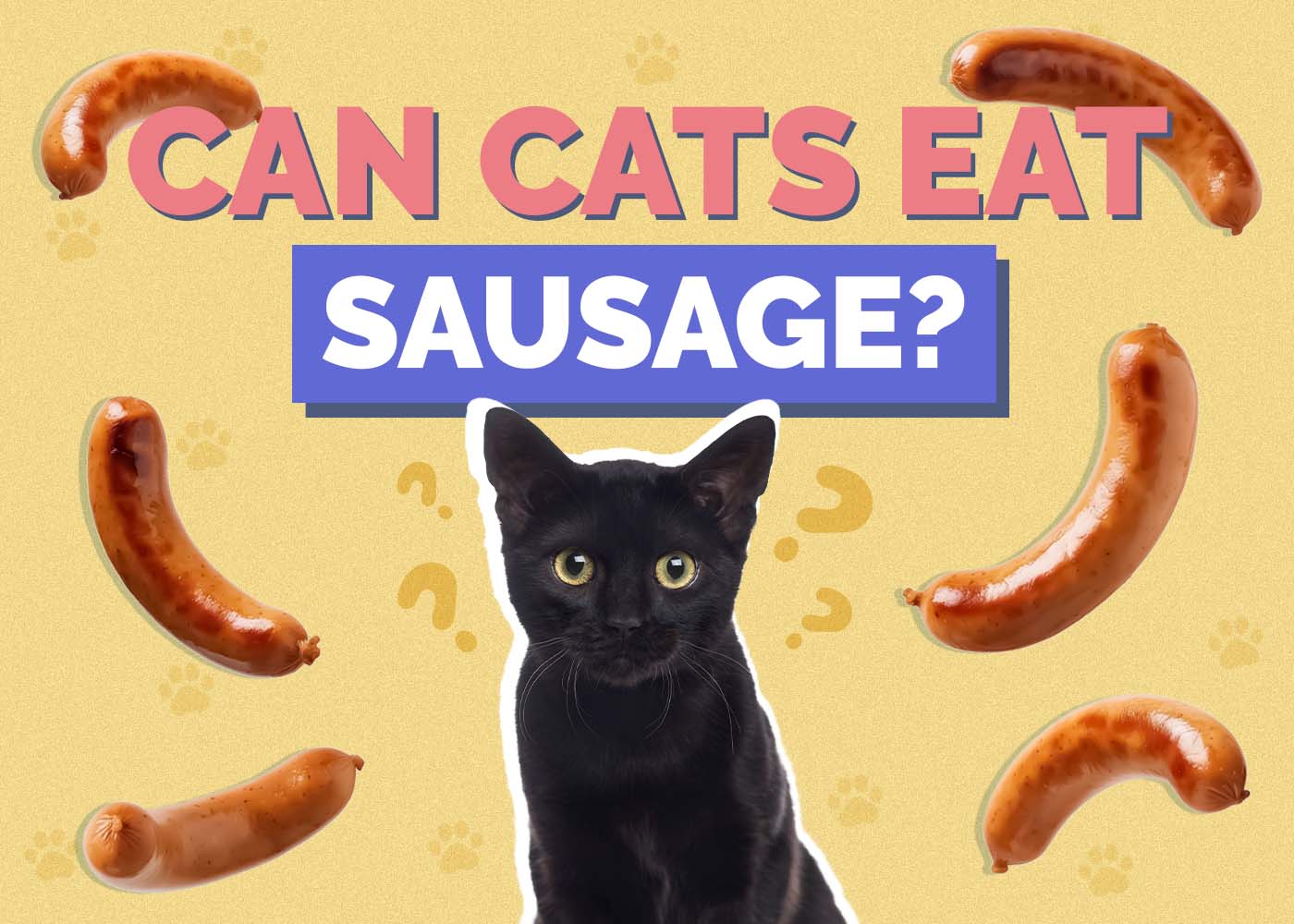 Hepper_Can Cats Eat_Sausage