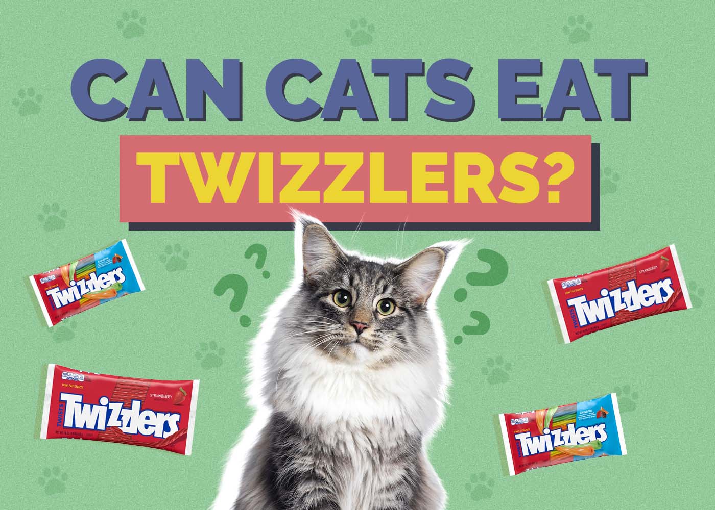 Hepper_Can Cats Eat_Twizzlers