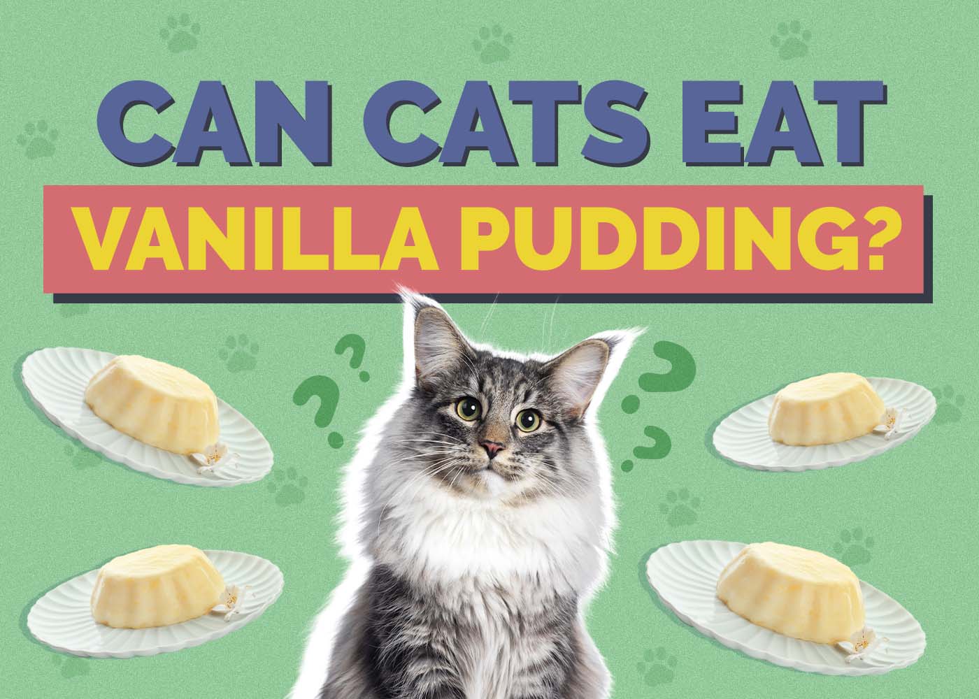 Hepper_Can Cats Eat_Vanilla Pudding