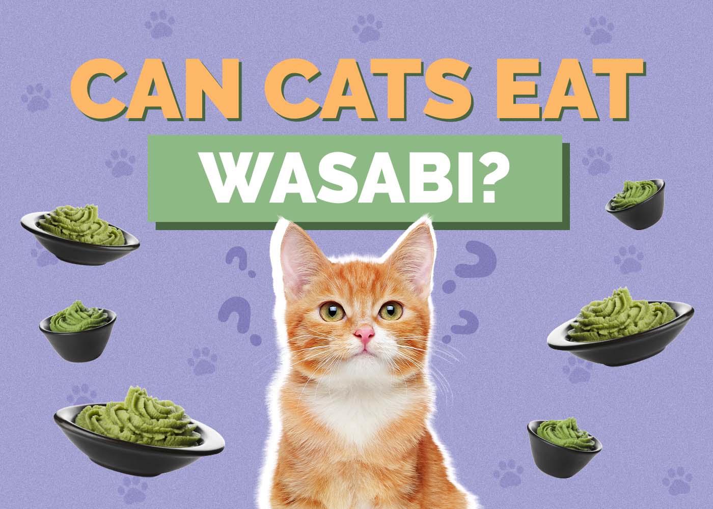 Hepper_Can Cats Eat_Wasabi