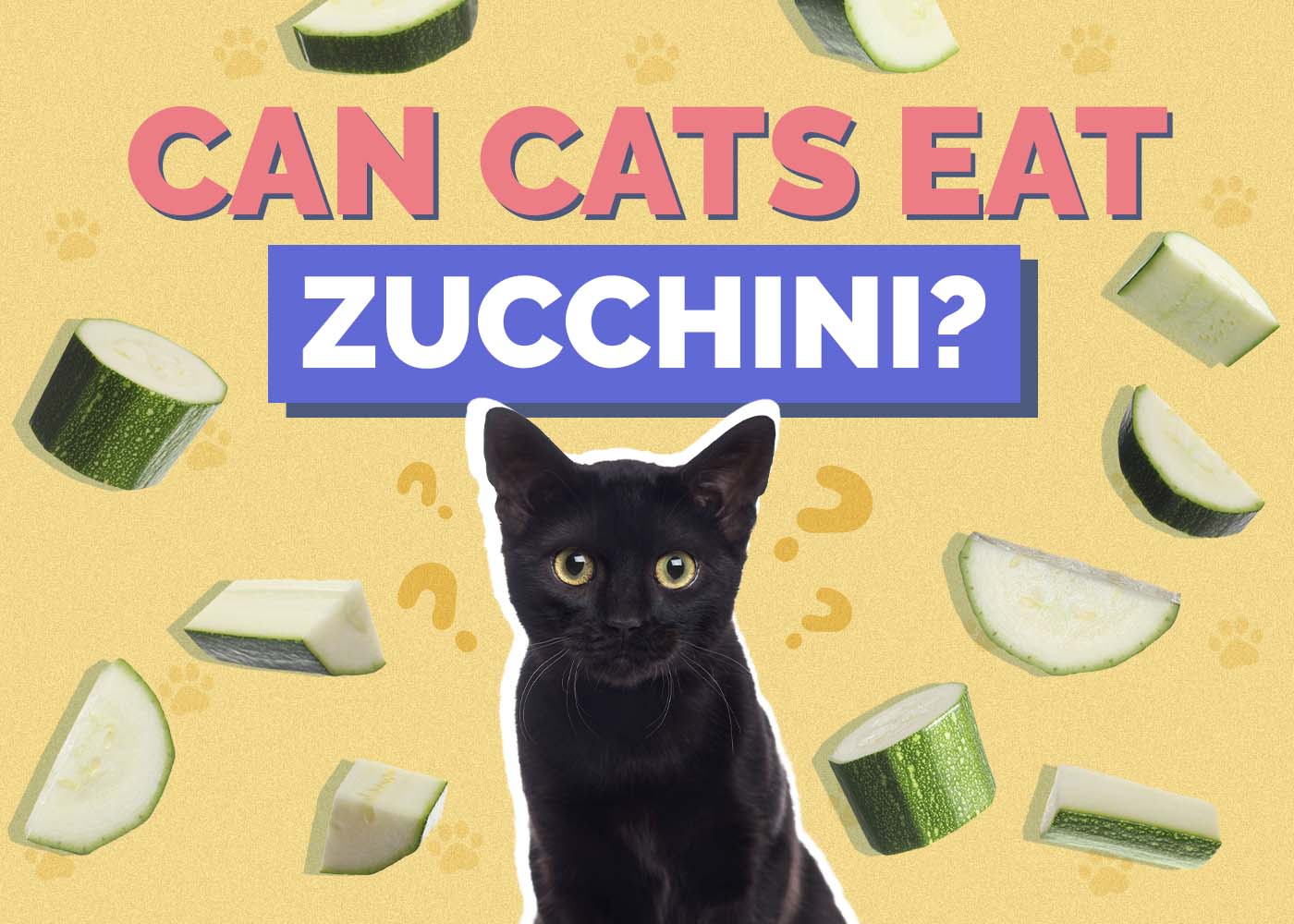 Hepper_Can Cats Eat_Zucchini