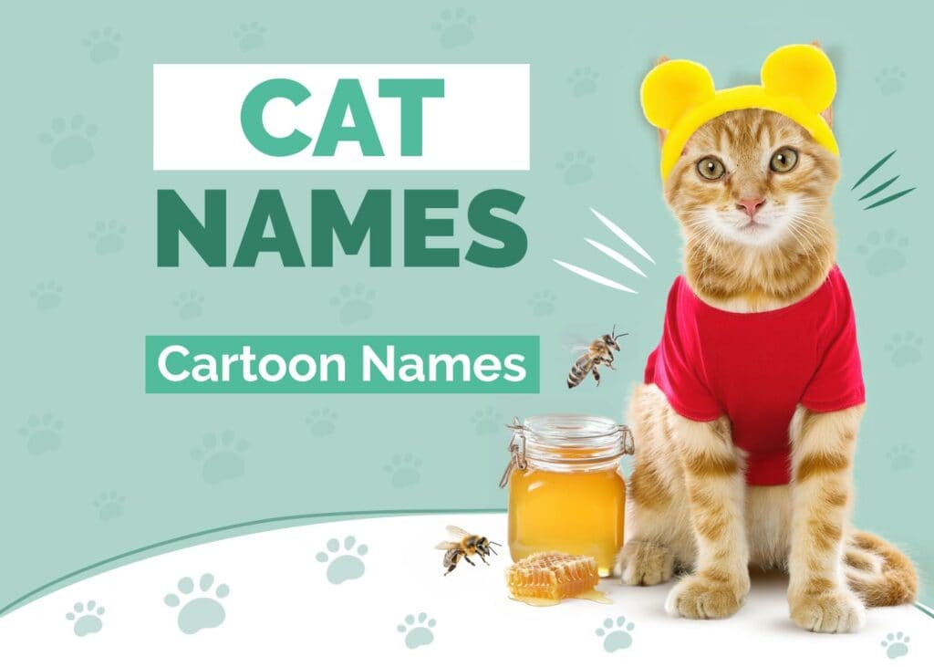 Cartoon Cat Names