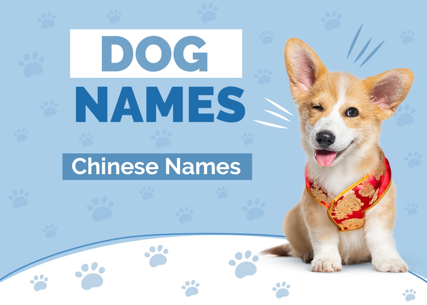 Chinese Dog Names
