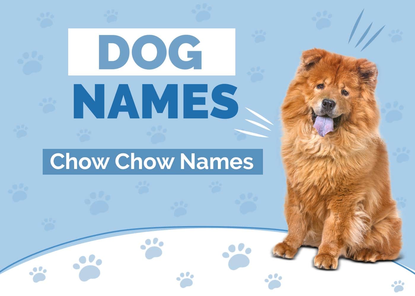 Chow Chow Names