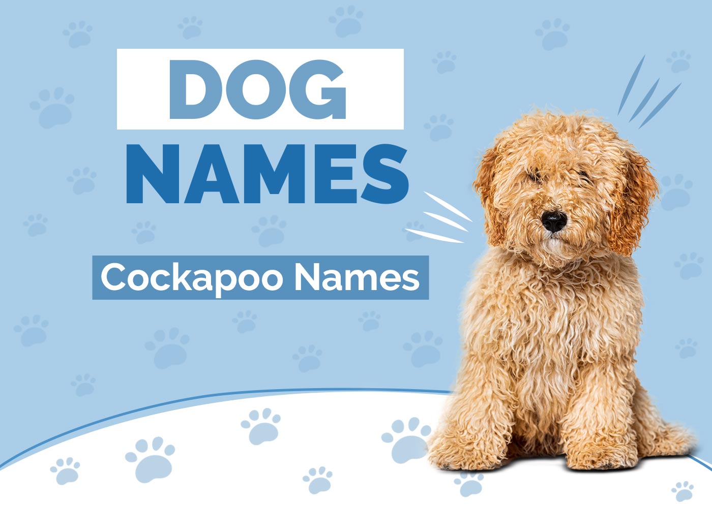 Cockapoo Names