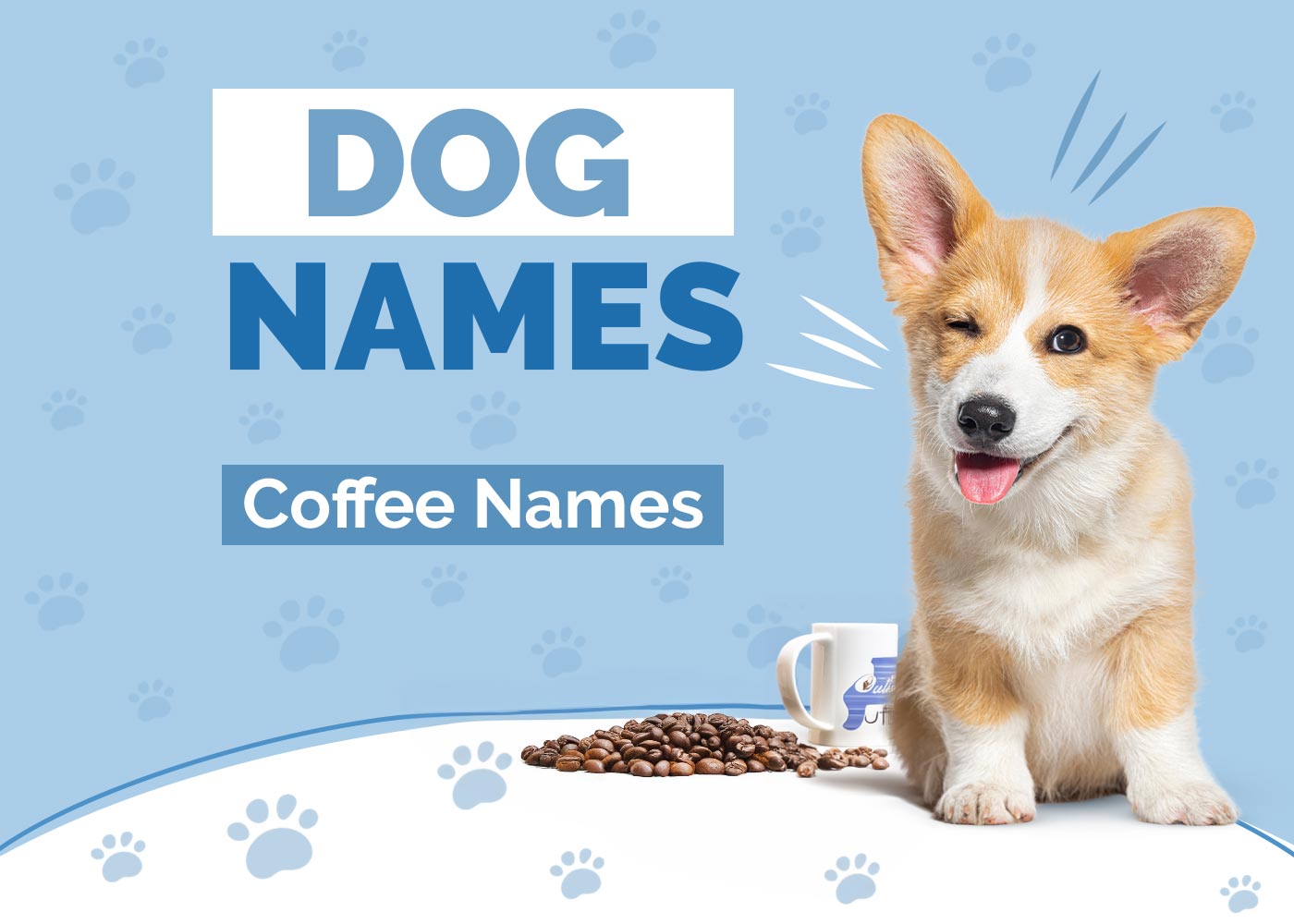 Coffee Dog Names