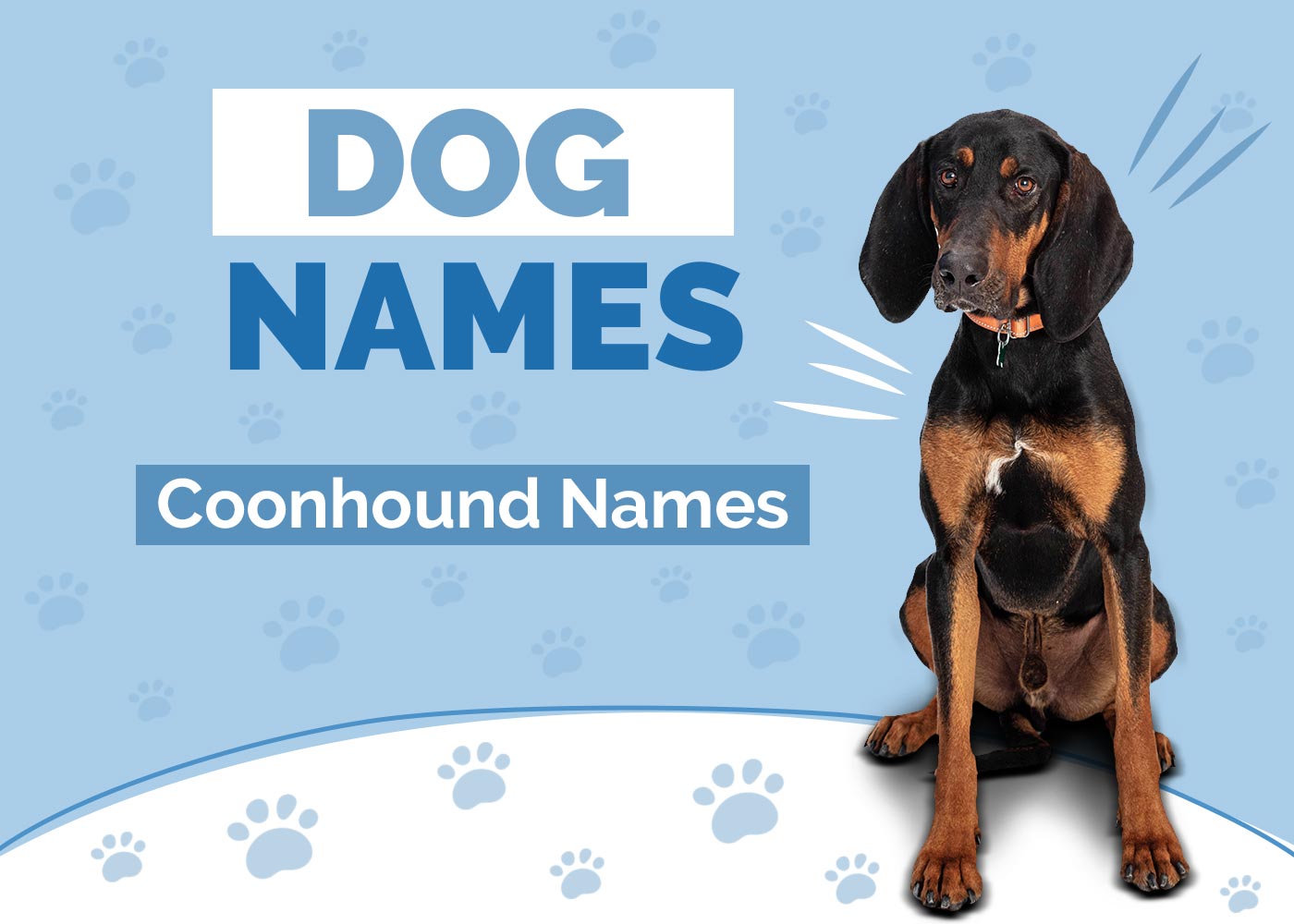 Coonhound Dog Names