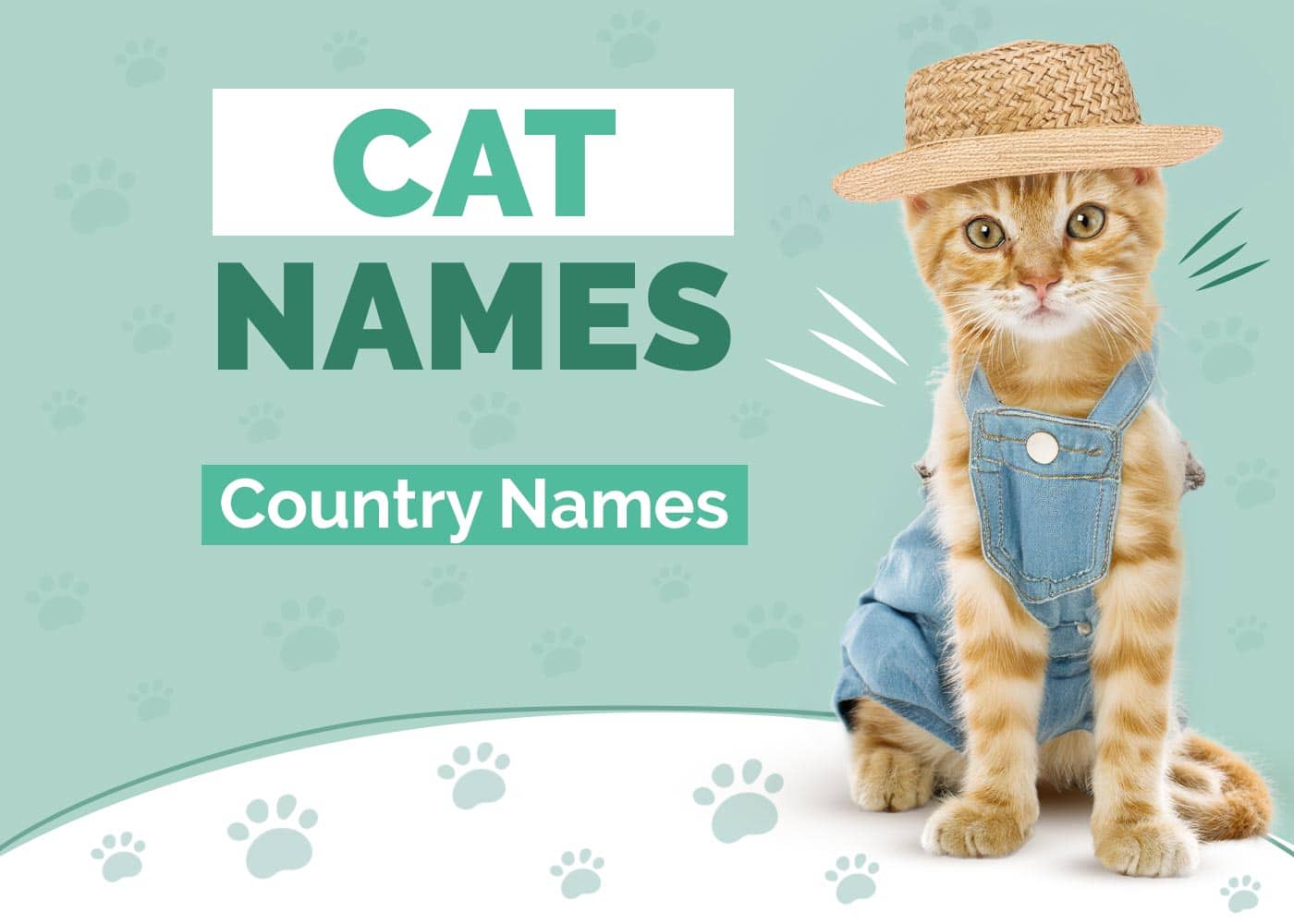 Country Cat Names