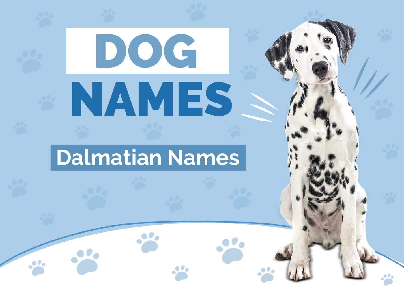 Dalmatian Dog Names