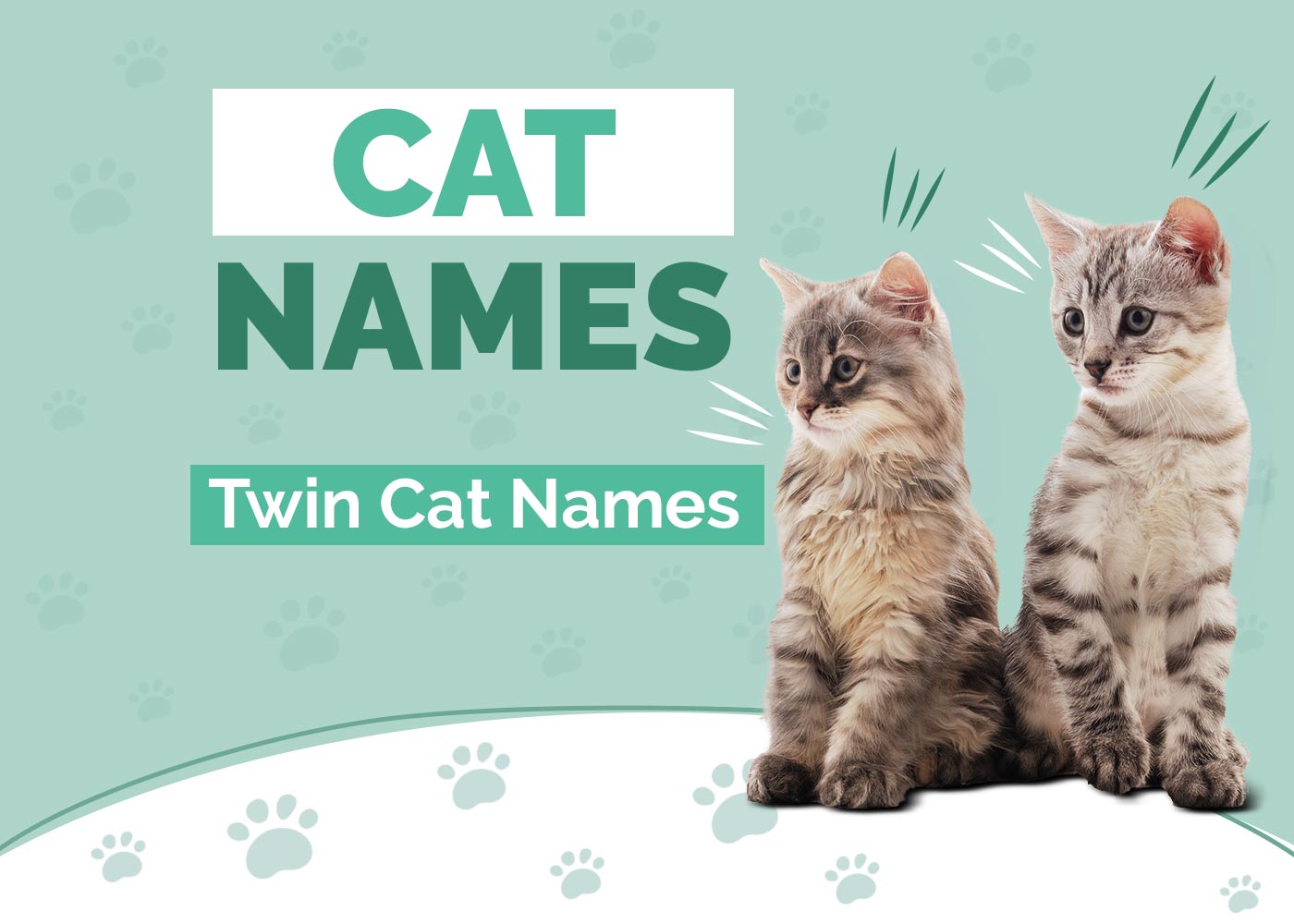 Twin Cat Names
