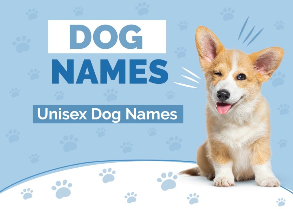 Unisex & Gender Neutral Dog Names
