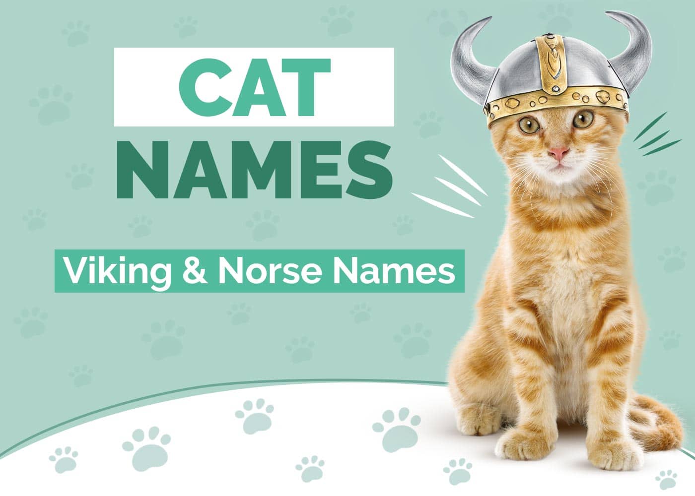 Viking & Norse Cat Names