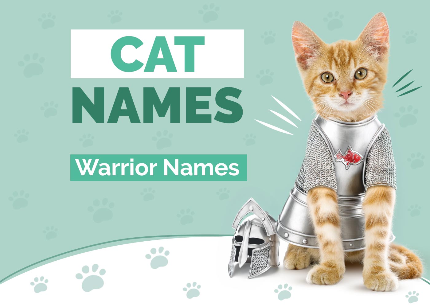 Warrior Cat Name