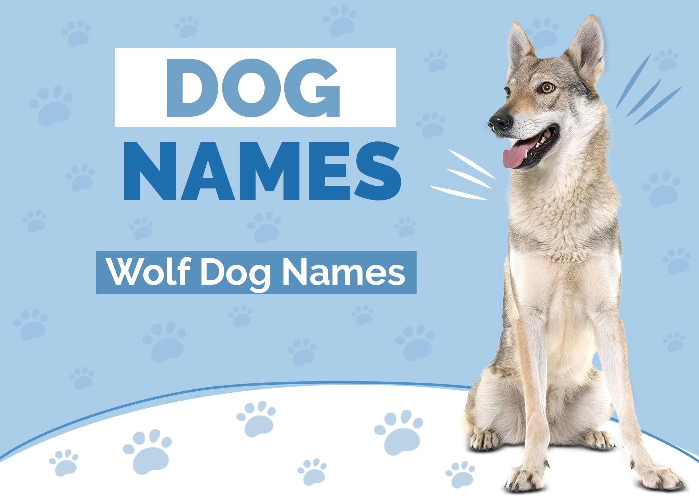 Wolf Dog Names