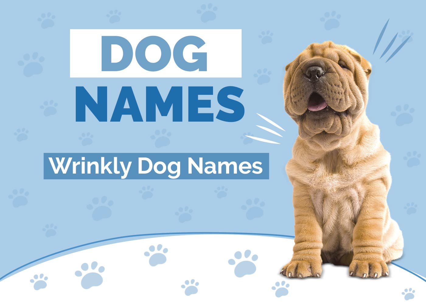 Wrinkly Dog Names