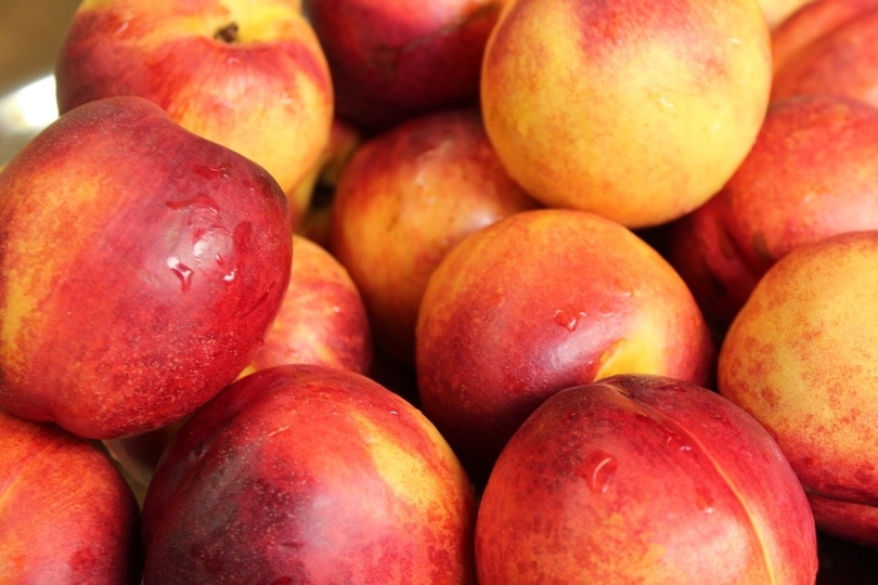 Nectarines in a heap