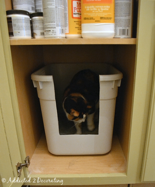 Yes, This Really Is A Post About A Cat Litter Box