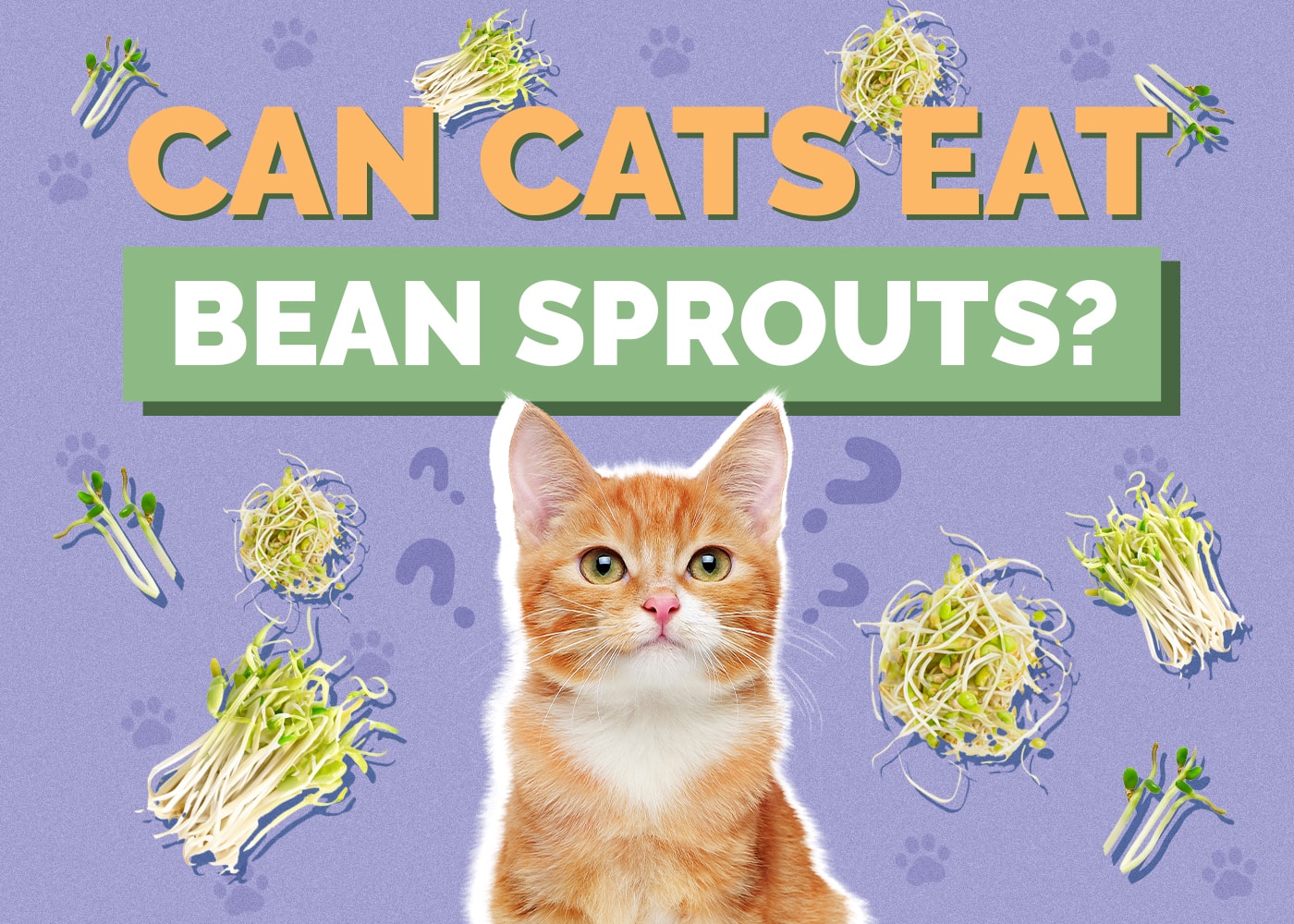 Can Cats Eat bean-sprouts