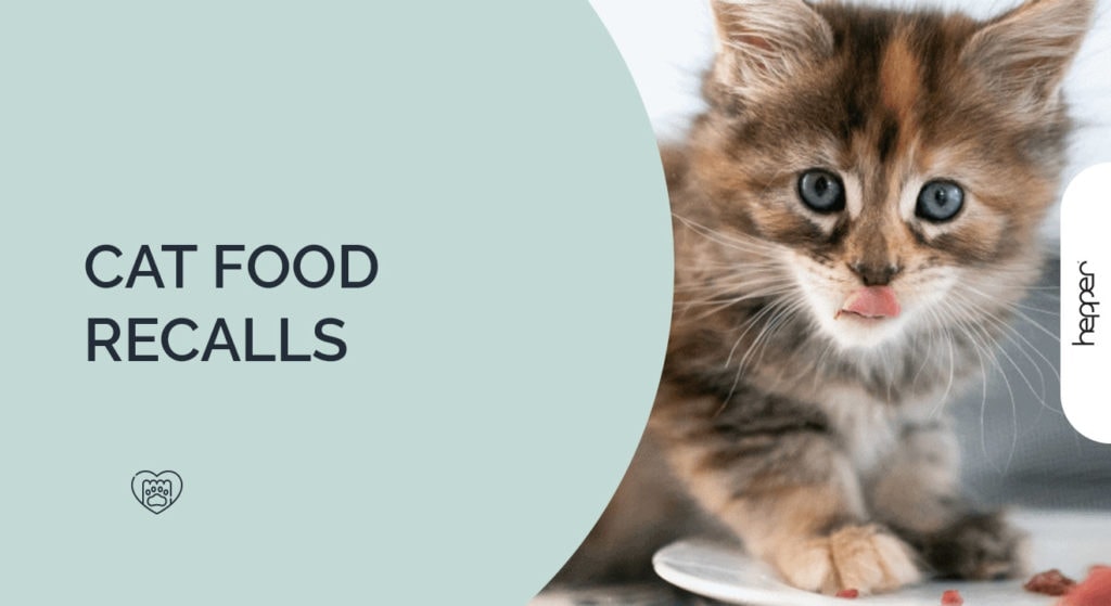 cat food recalls