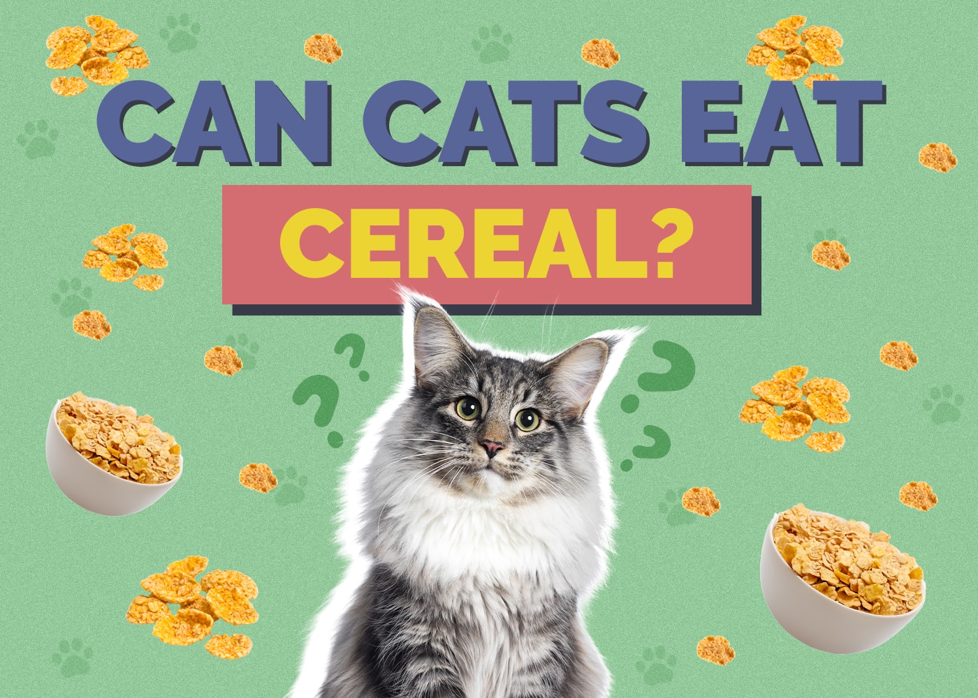 Can Cats Eat cereal