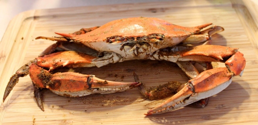 cooked crab