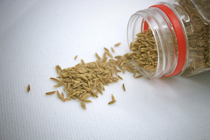 cumin seeds on tissue paper and inside the plastic container