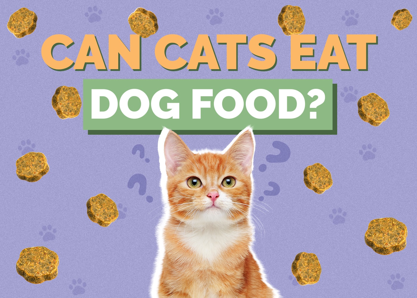 Can Cats Eat dog-food