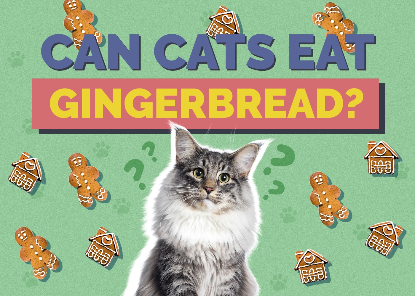 Can Cats Eat gingerbread