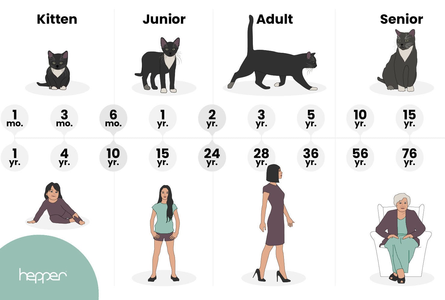 age of cat in human years